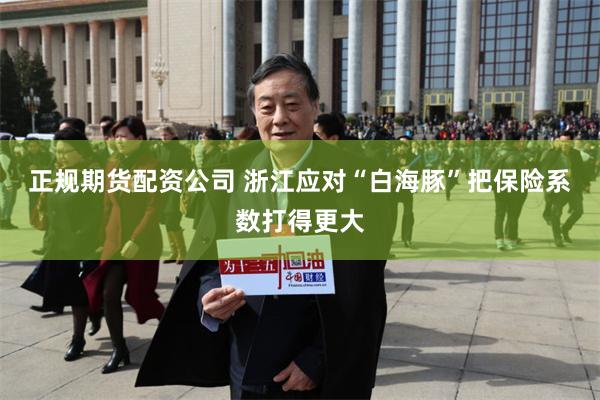 正规期货配资公司 浙江应对“白海豚”把保险系数打得更大
