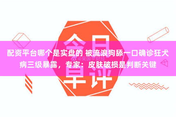 配资平台哪个是实盘的 被流浪狗舔一口确诊狂犬病三级暴露，专家：皮肤破损是判断关键