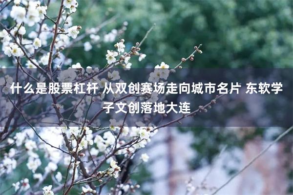 什么是股票杠杆 从双创赛场走向城市名片 东软学子文创落地大连