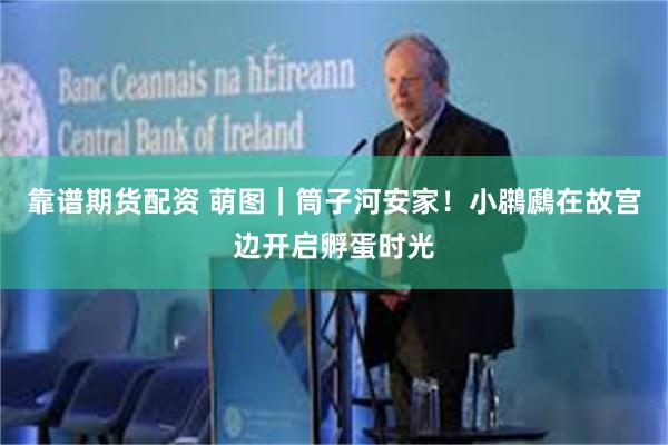 靠谱期货配资 萌图｜筒子河安家！小鸊鷉在故宫边开启孵蛋时光