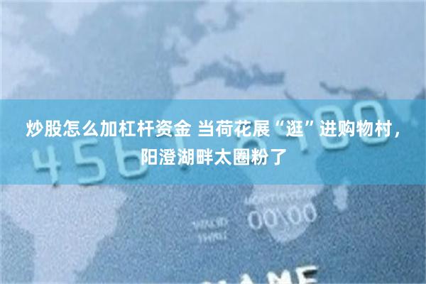 炒股怎么加杠杆资金 当荷花展“逛”进购物村，阳澄湖畔太圈粉了