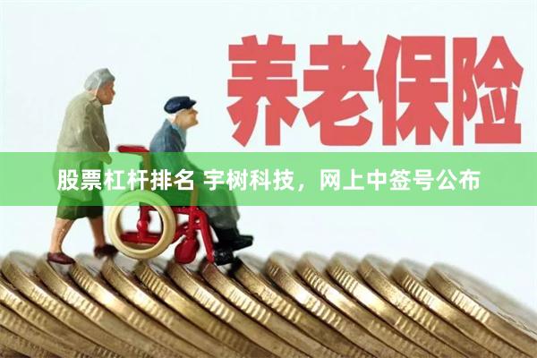 股票杠杆排名 宇树科技，网上中签号公布