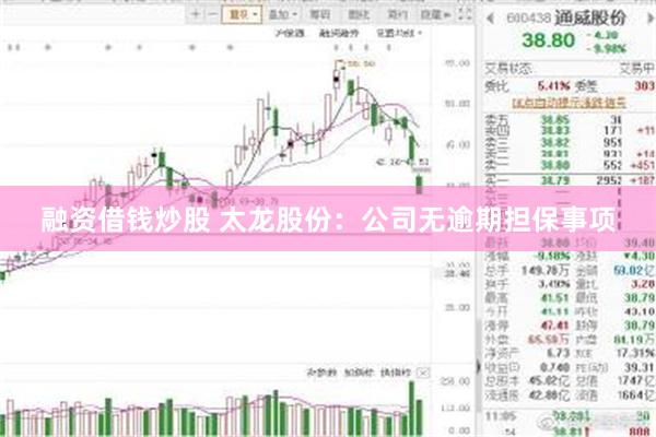 融资借钱炒股 太龙股份：公司无逾期担保事项