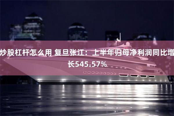 炒股杠杆怎么用 复旦张江：上半年归母净利润同比增长545.57%