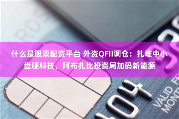 什么是股票配资平台 外资QFII调仓：扎堆中小盘硬科技，阿布扎比投资局加码新能源