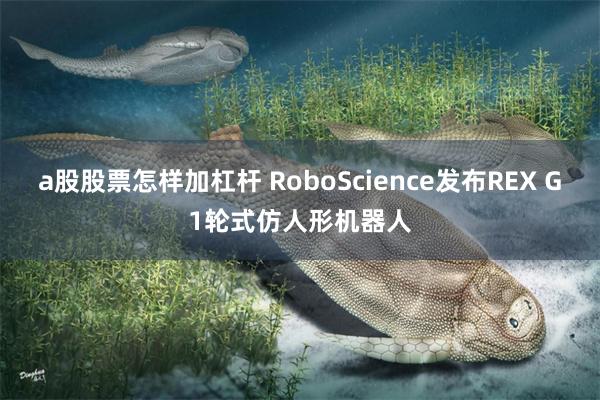 a股股票怎样加杠杆 RoboScience发布REX G1轮式仿人形机器人