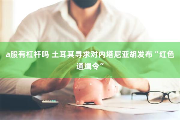 a股有杠杆吗 土耳其寻求对内塔尼亚胡发布“红色通缉令”