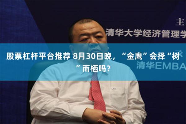 股票杠杆平台推荐 8月30日晚，“金鹰”会择“树”而栖吗？