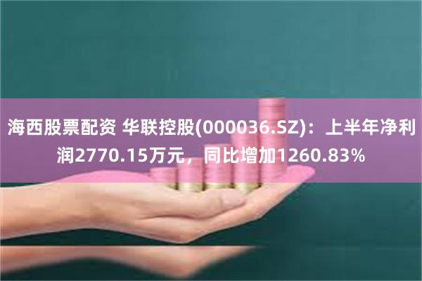 海西股票配资 华联控股(000036.SZ)：上半年净利润2770.15万元，同比增加1260.83%