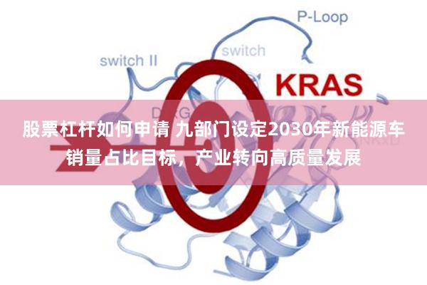股票杠杆如何申请 九部门设定2030年新能源车销量占比目标，产业转向高质量发展